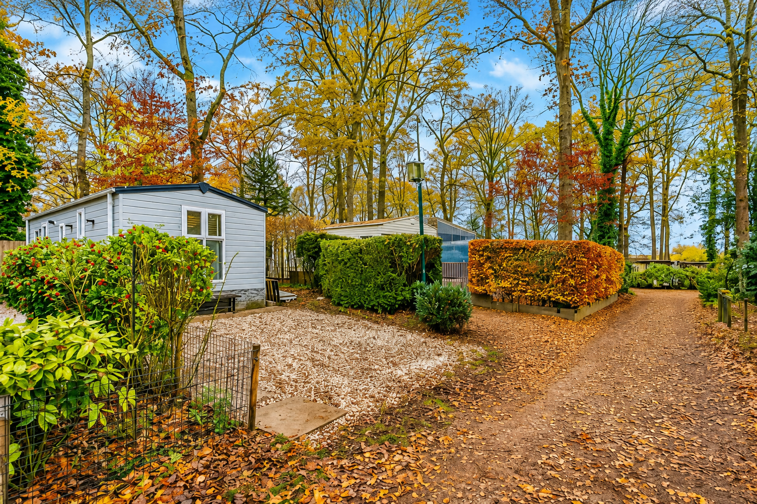Boshuisje Veluwezoom in een groene, bosrijke omgeving